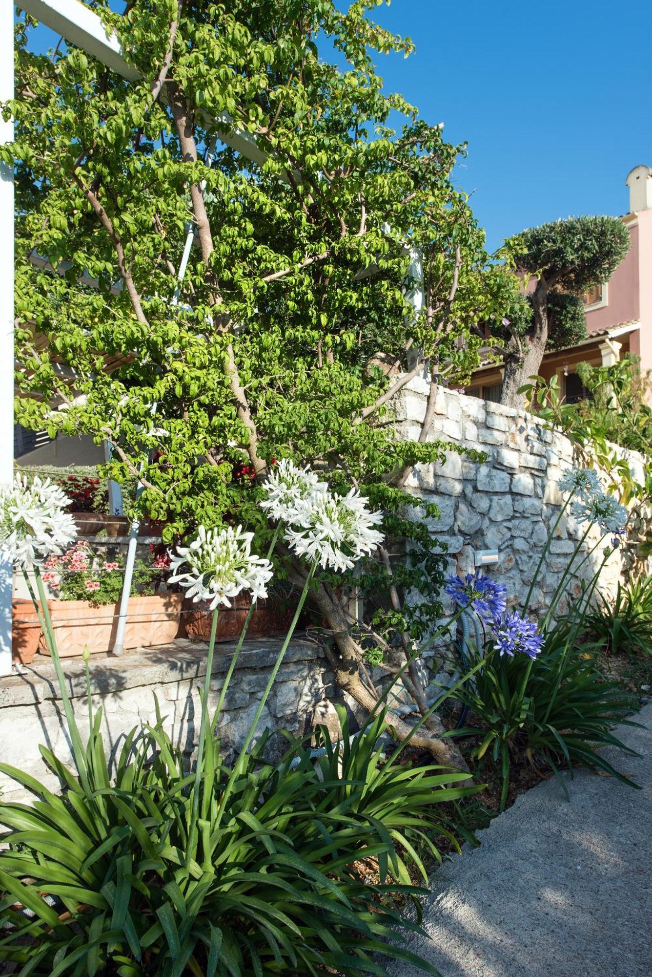 Hill Lofos Hotel Kassiopi Exterior photo